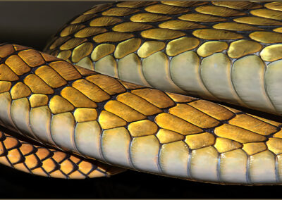 Close-up of golden snake scales showing intricate patterns.