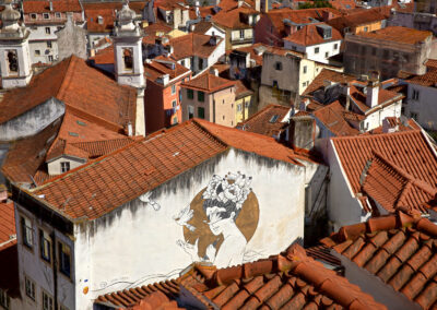 A mural of a woman's face on a building amidst red-tiled rooftops.
