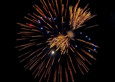 Bright fireworks exploding against a dark night sky.
