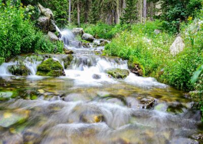 A serene stream flowing through a lush green forest.