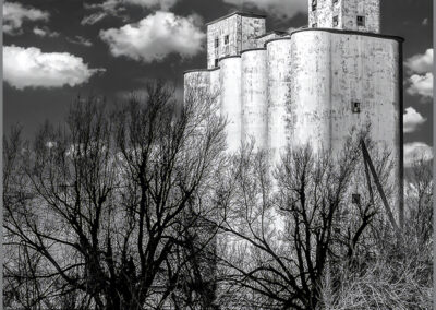 Black and white photo of a tall, old building behind leafless trees.