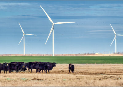 Wind turbines stand tall near grazing cattle in a rural field.