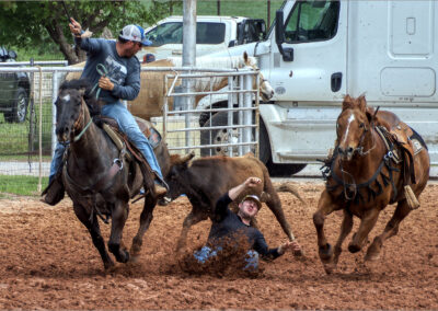 A cowboy falls off a horse during a rodeo event.