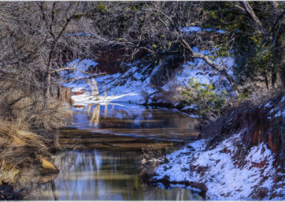 A snowy creek winding through a forest in winter.