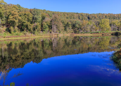 A serene lake reflecting a forest under a clear blue sky.