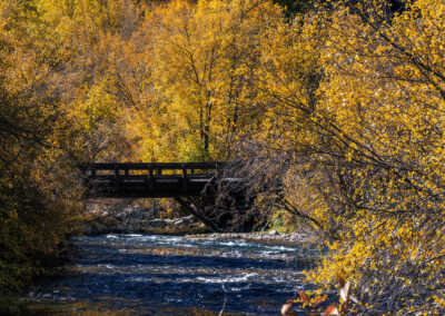A wooden bridge over a flowing river surrounded by vibrant autumn trees.