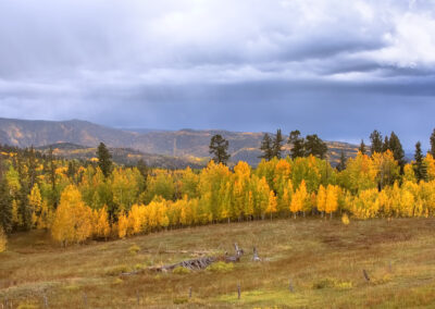 Autumn landscape with golden trees and cloudy sky.