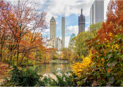 Autumn view of a city park with colorful trees and skyscrapers.