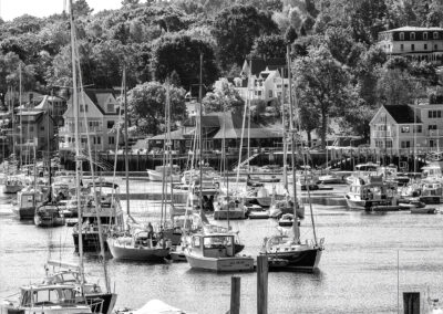 Black and white photo of sailboats docked in a marina near wooded houses.