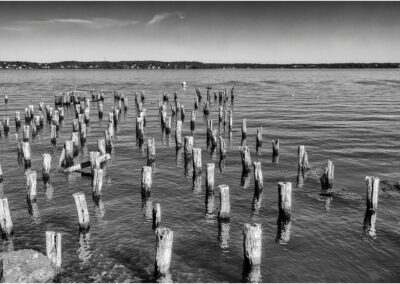 Old wooden pilings in water with a distant shoreline under a cloudy sky.