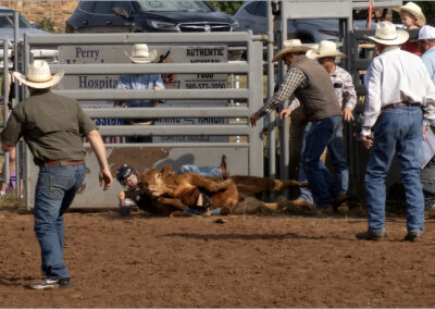 A rodeo cowboy being tackled by a calf during a calf wrestling event.