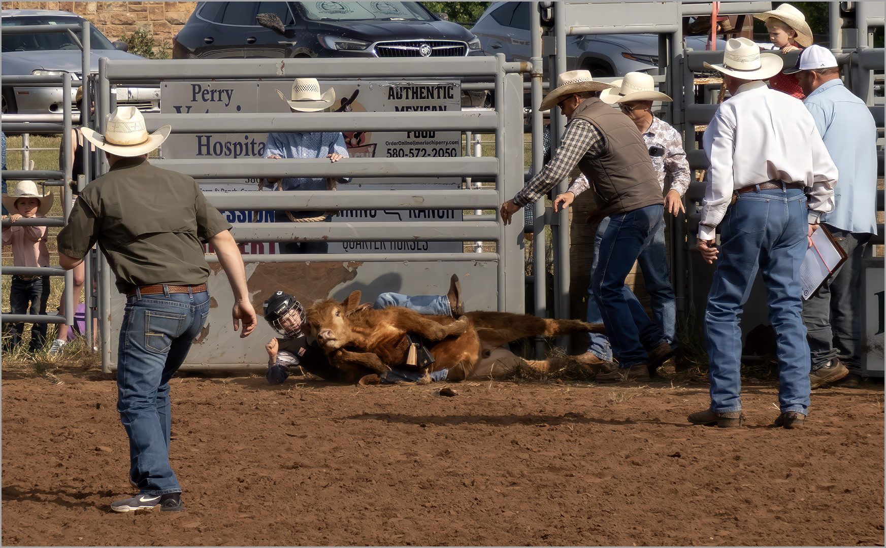 A rodeo cowboy being tackled by a calf during a calf wrestling event.