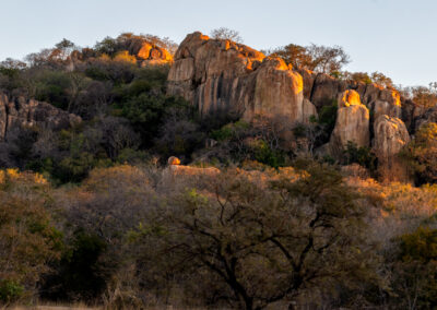 Sunlit rocky hill with trees in the foreground during golden hour.