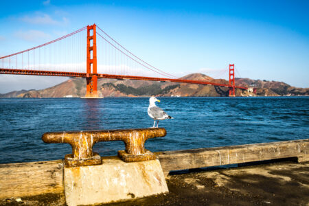 Golden Gate Bridge by Jackie Mesarick